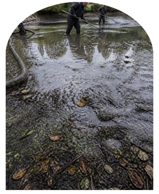 Очистка пруда в Стрежевом от ила мусора и водорослей с вывозом